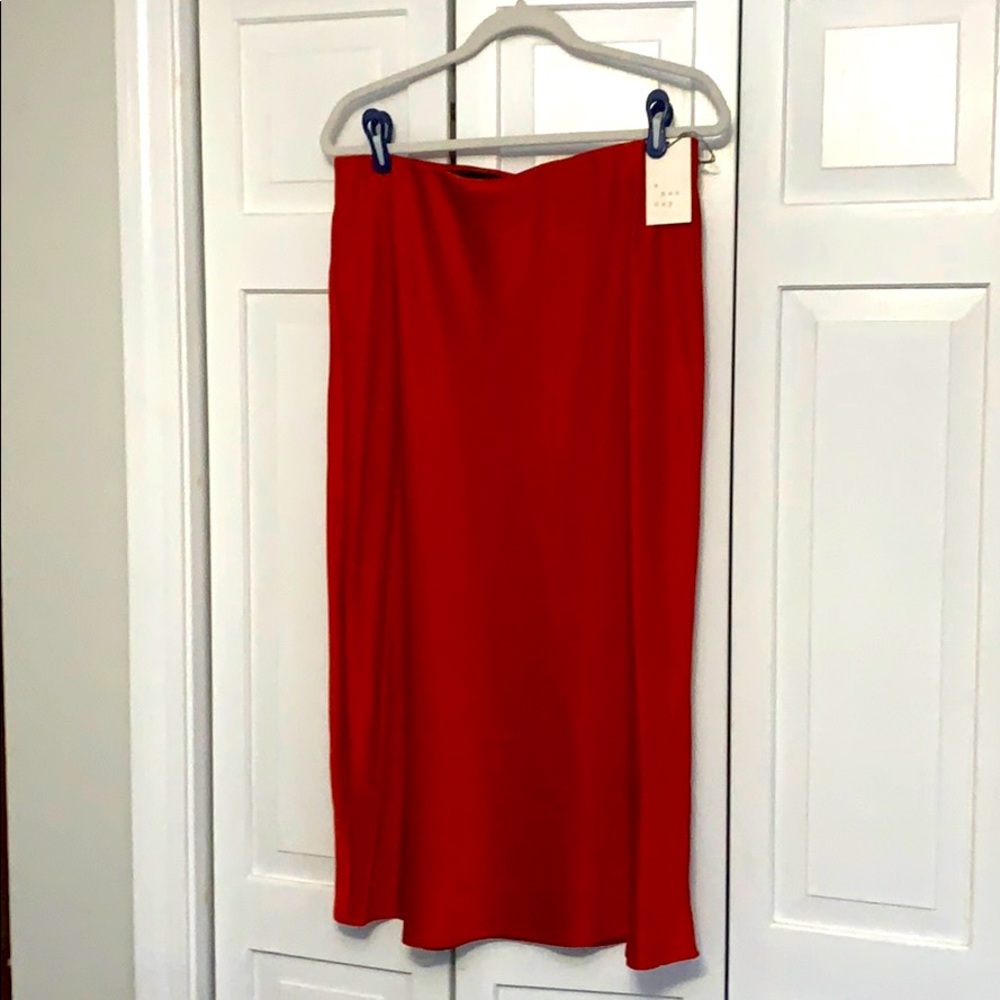 Women's Slip A-Line Maxi Skirt